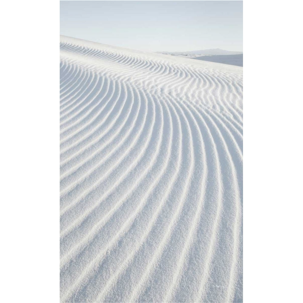 White Sands I no Border Poster Print by Alan Majchrowicz-VARPDX33903 Image 2