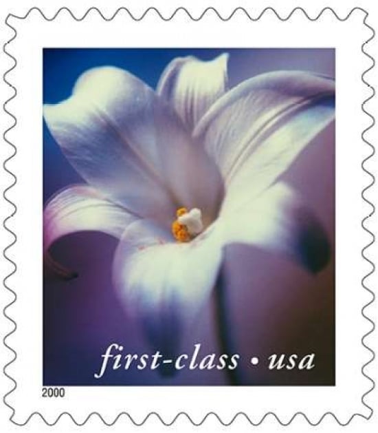 Longiflorum Lily Poster Print by US POSTAL SERVICE-VARPDX3408 Image 1