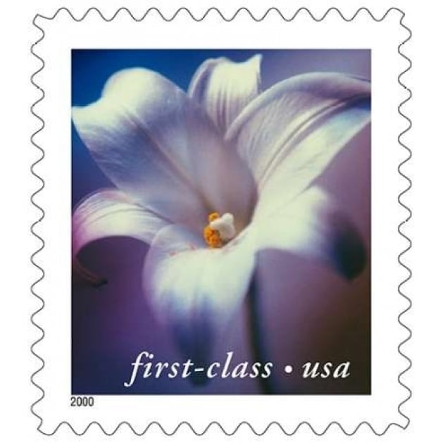 Longiflorum Lily Poster Print by US POSTAL SERVICE-VARPDX3408 Image 2