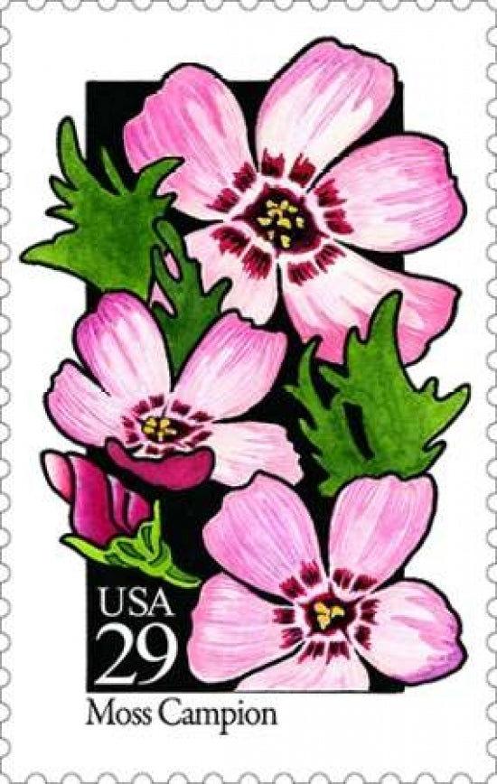 Moss Campion Poster Print by US POSTAL SERVICE-VARPDX3414 Image 1