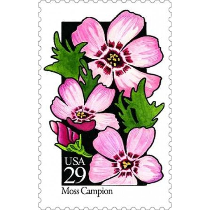 Moss Campion Poster Print by US POSTAL SERVICE-VARPDX3414 Image 2