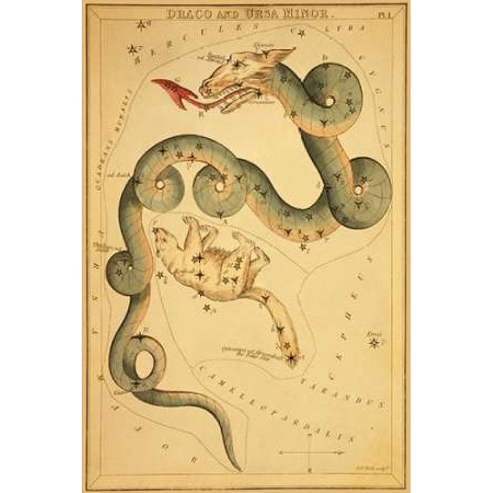 Draco and Ursa Minor 1825 Poster Print by Jehoshaphat Aspin-VARPDX341833 Image 2