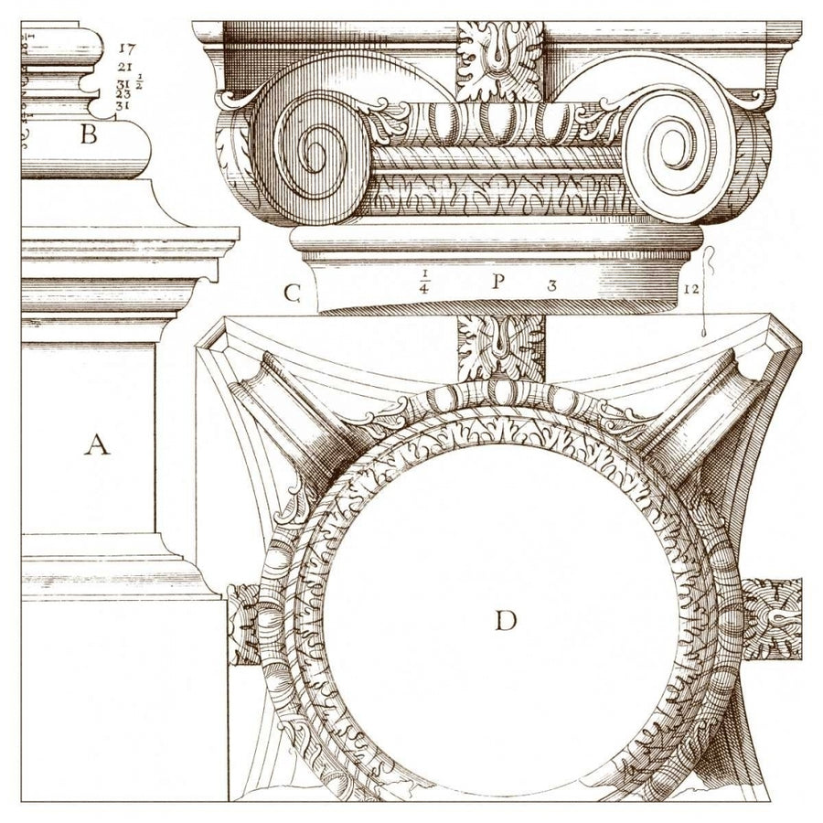 Small Corinthian Detail IV Poster Print - Studio Vision-VARPDX34195D Image 1