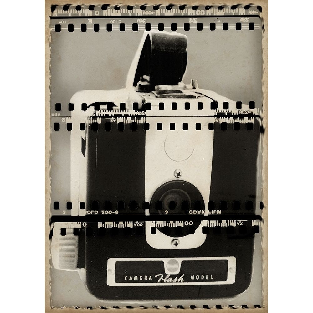 Camera Obscura III Poster Print - Studio Vision-VARPDX34237D Image 1