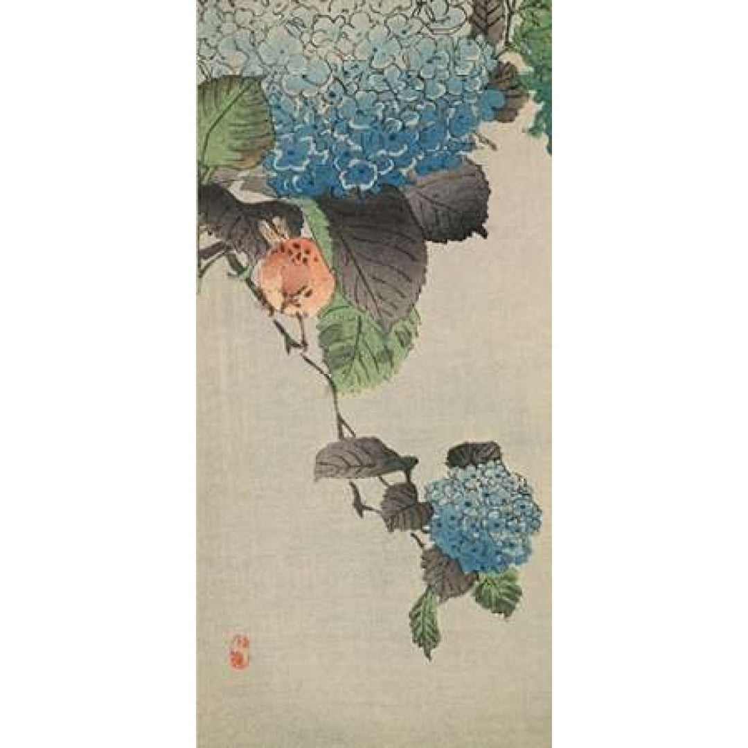 Small bird and hydrangea Poster Print by Unknown -VARPDX342904 Image 1