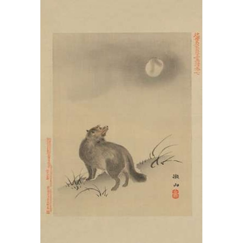 Fox Poster Print by Unknown -VARPDX342909 Image 1