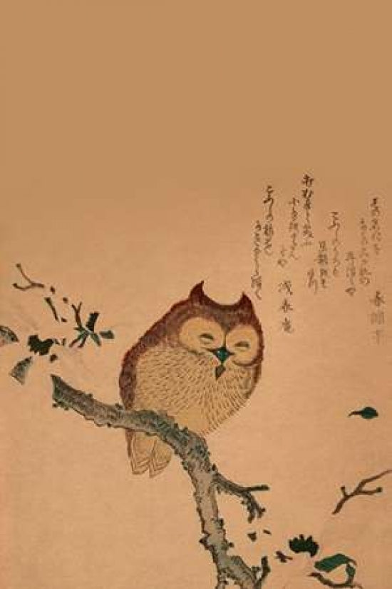 Owl of Branch Poster Print by Unknown -VARPDX342919 Image 1