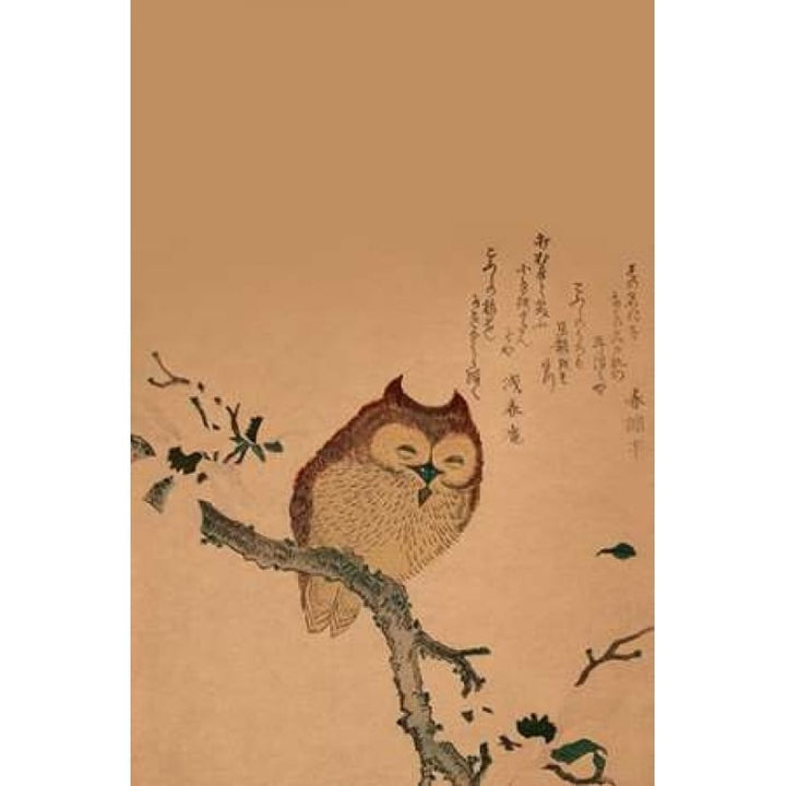 Owl of Branch Poster Print by Unknown -VARPDX342919 Image 2