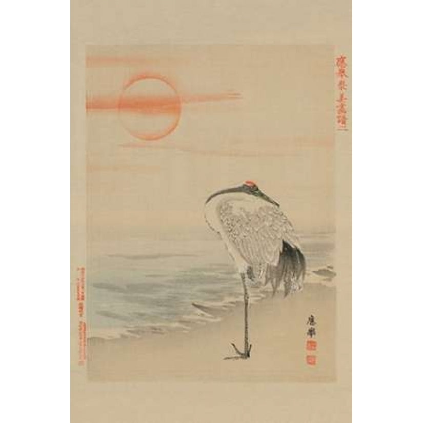 Heron Poster Print by Unknown -VARPDX342913 Image 2