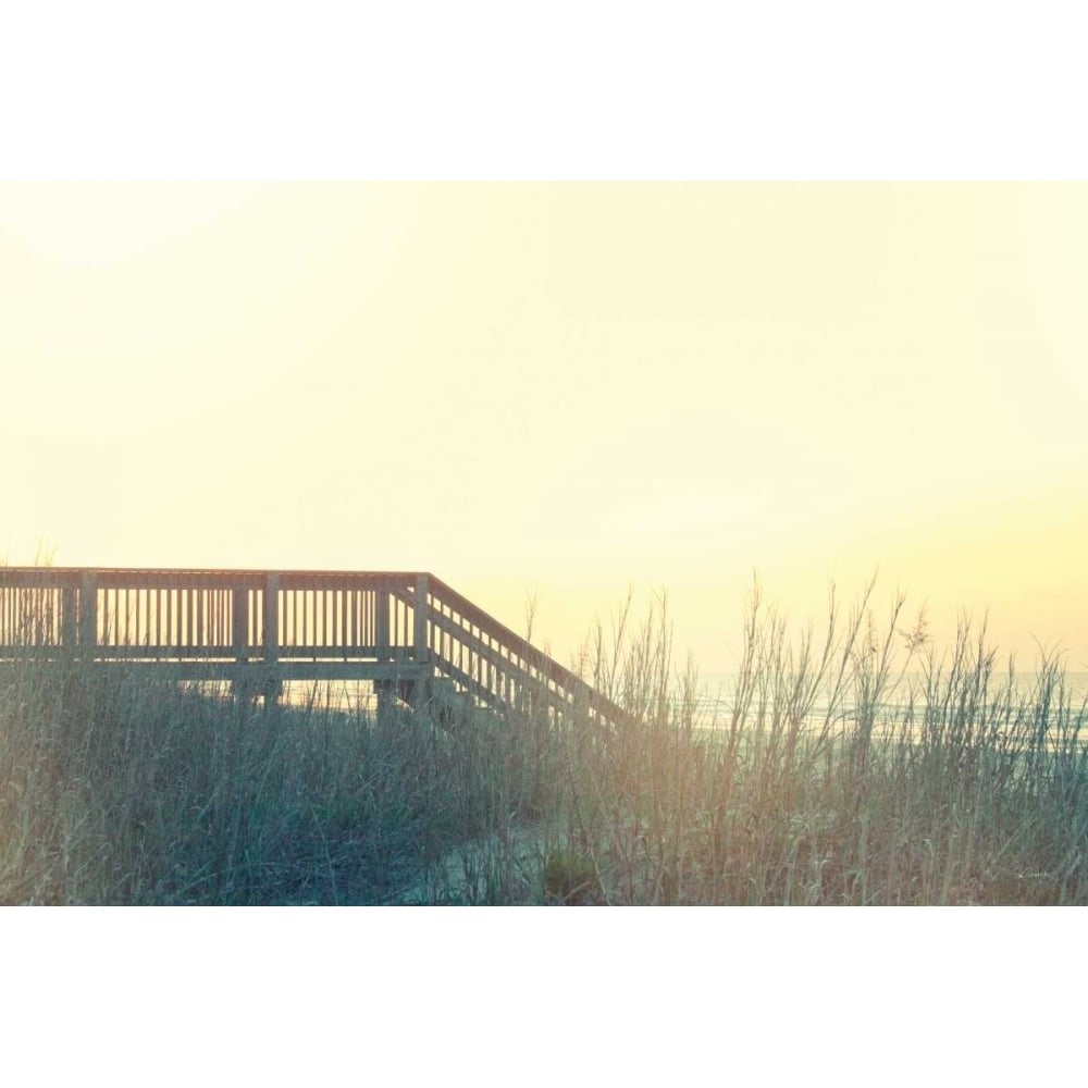 Boardwalk to the Beach Poster Print by Sue Schlabach-VARPDX34383HR Image 1