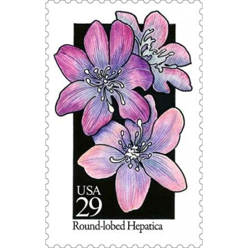 Round-lobed Hepatica Poster Print by US POSTAL SERVICE-VARPDX3447 Image 1