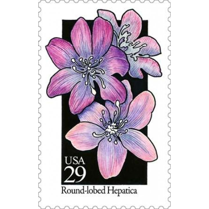 Round-lobed Hepatica Poster Print by US POSTAL SERVICE-VARPDX3447 Image 2