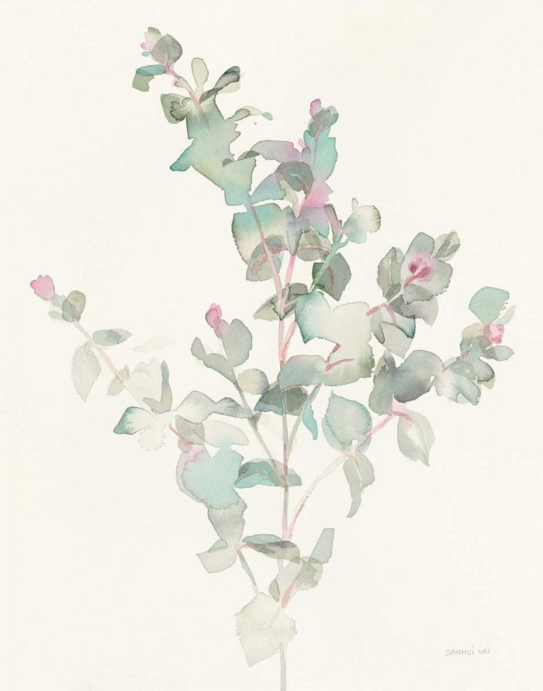 Eucalyptus II Poster Print by Danhui Nai-VARPDX34501 Image 1