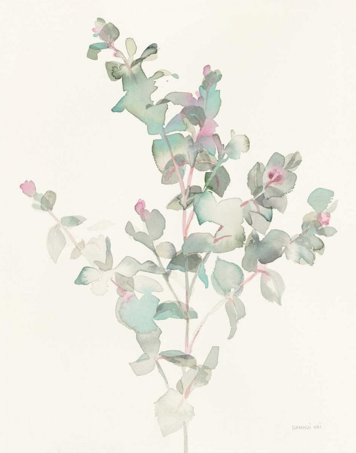 Eucalyptus II Poster Print by Danhui Nai-VARPDX34501 Image 2