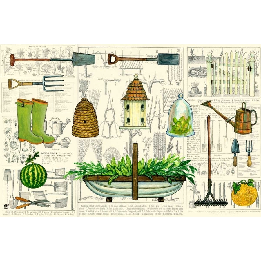 Garden Collection I Poster Print - Ginny Joyner-VARPDX34756D Image 1