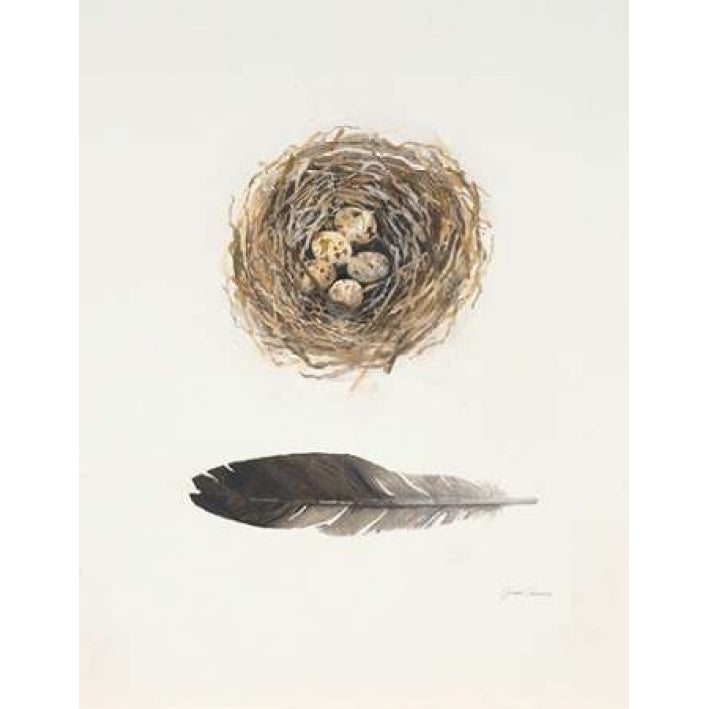 Field Study Nest Poster Print by Jurgen Gottschlag-VARPDX347GOT1015 Image 1