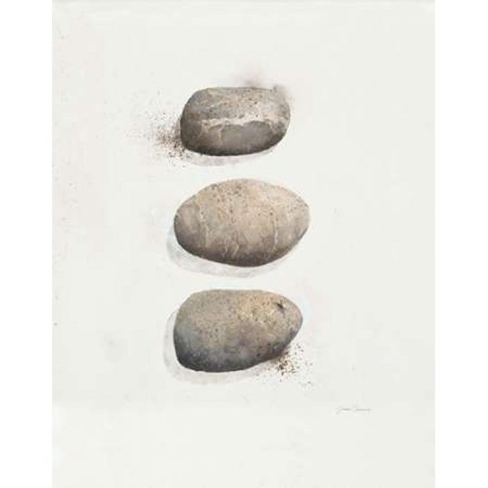 Field Study Stone Poster Print by Jurgen Gottschlag-VARPDX347GOT1020 Image 1