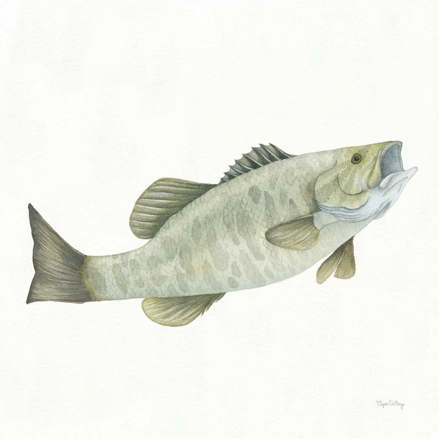 Gone Fishin Small Mouth Poster Print by Elyse DeNeige-VARPDX34833 Image 1