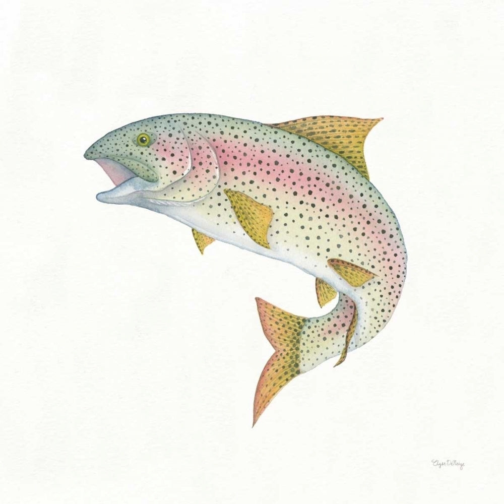 Gone Fishin Rainbow Poster Print by Elyse DeNeige-VARPDX34834 Image 2