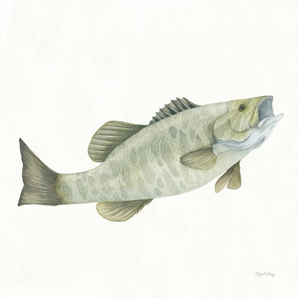 Gone Fishin Small Mouth Poster Print by Elyse DeNeige-VARPDX34833 Image 2