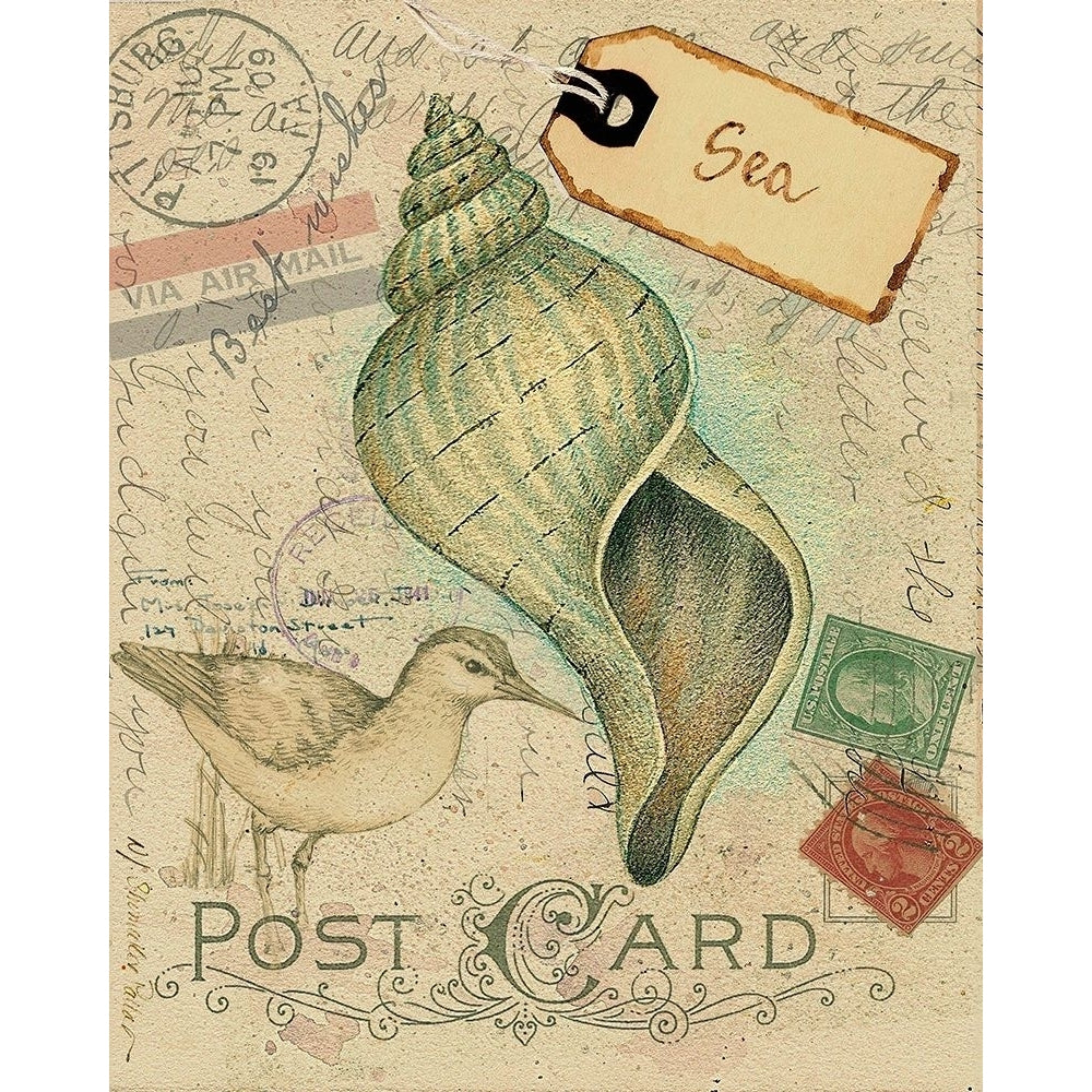 Postcard Shells II Poster Print - Nancy S. Pallan-VARPDX34969D Image 1