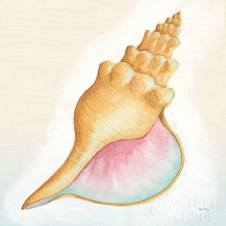 Boardwalk Conch Poster Print by Elyse DeNeige-VARPDX35347 Image 1