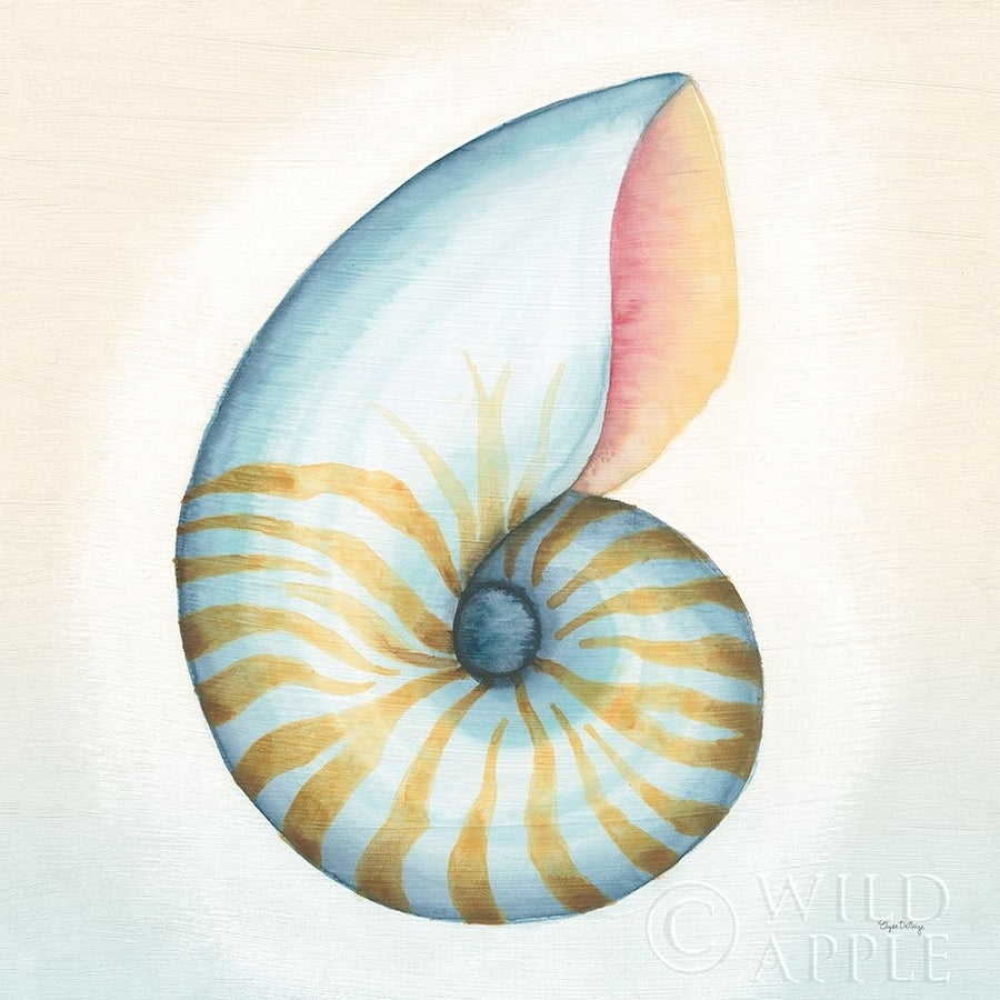 Boardwalk Nautilus Poster Print by Elyse DeNeige-VARPDX35349 Image 1