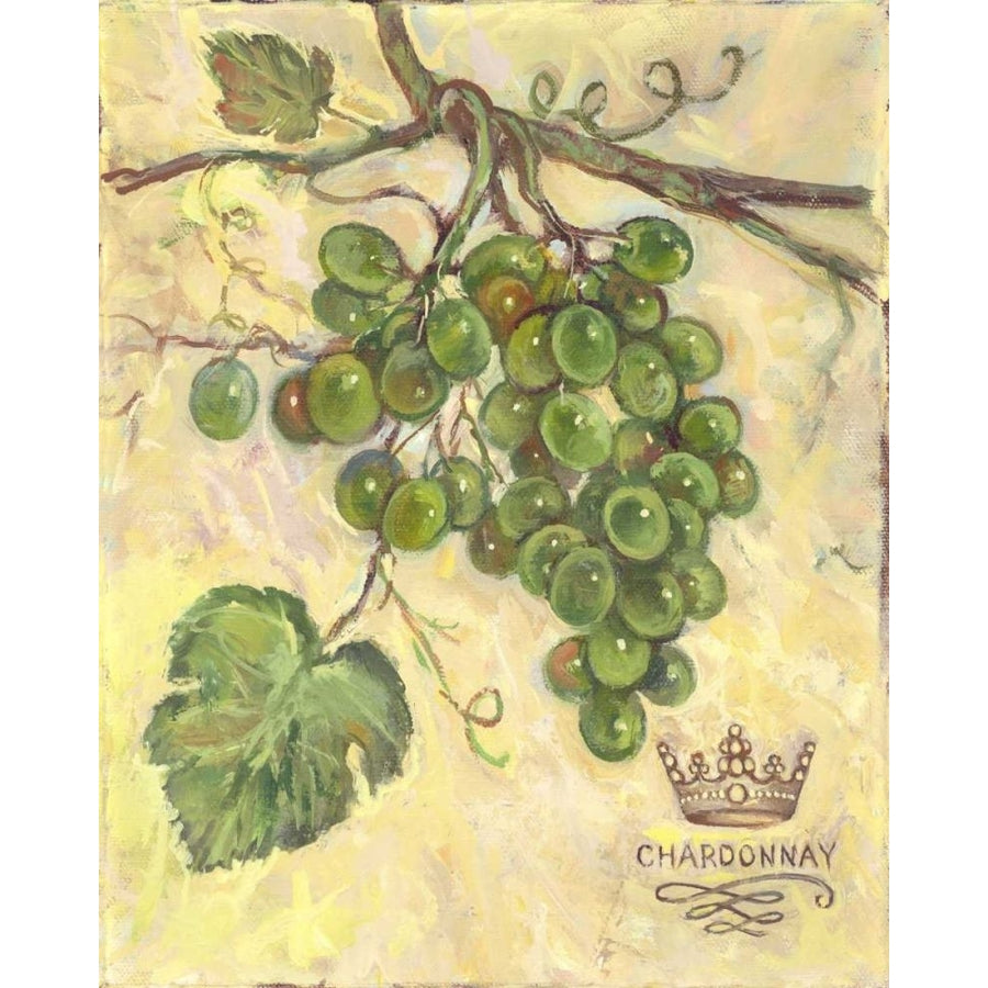 Chardonnay Poster Print - Theresa Kasun-VARPDX35431D Image 1