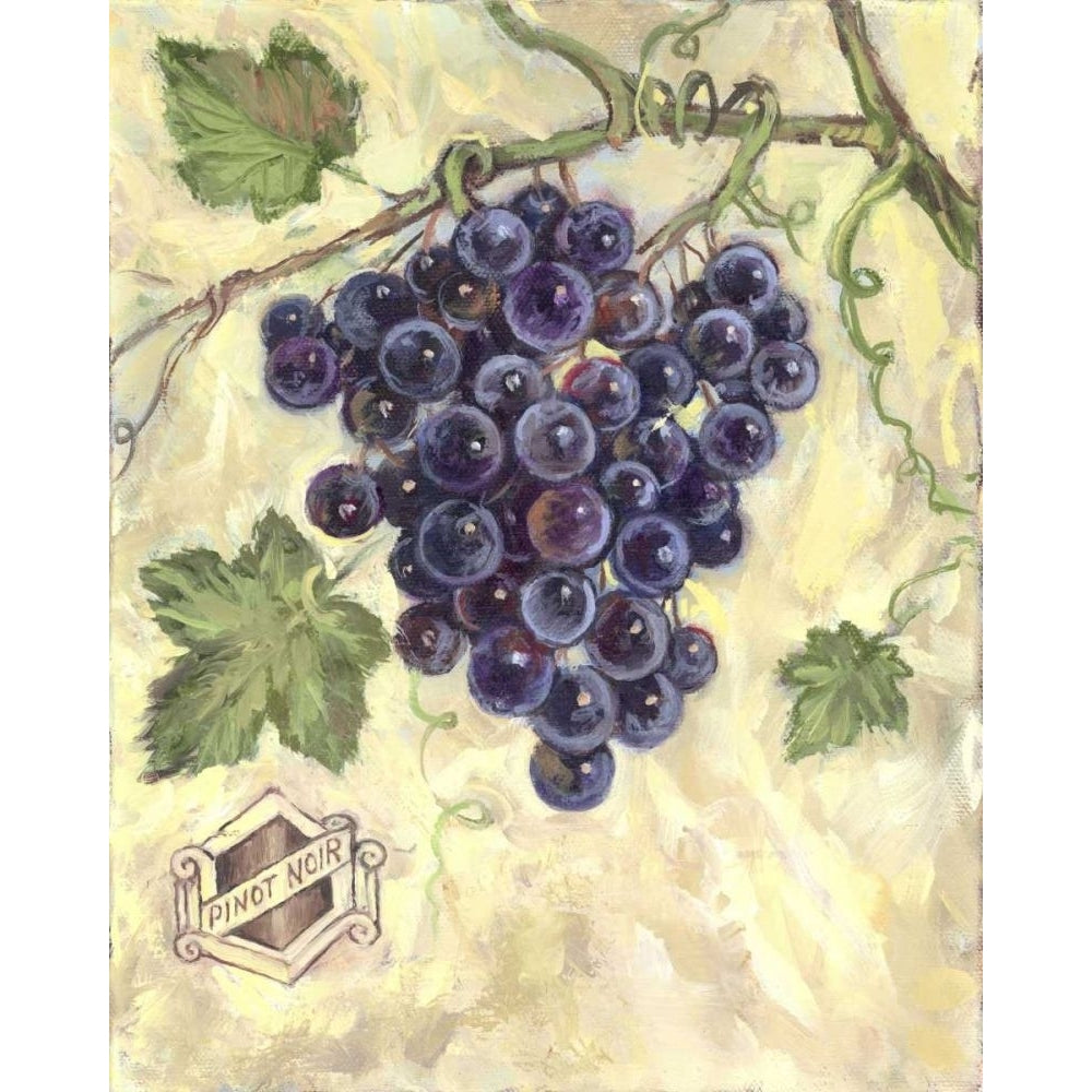 Pinot Noir Poster Print - Theresa Kasun-VARPDX35429D Image 1