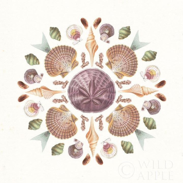 Ocean Mandala Ii Poster Print by Wild Apple Portfolio-VARPDX35806 Image 1