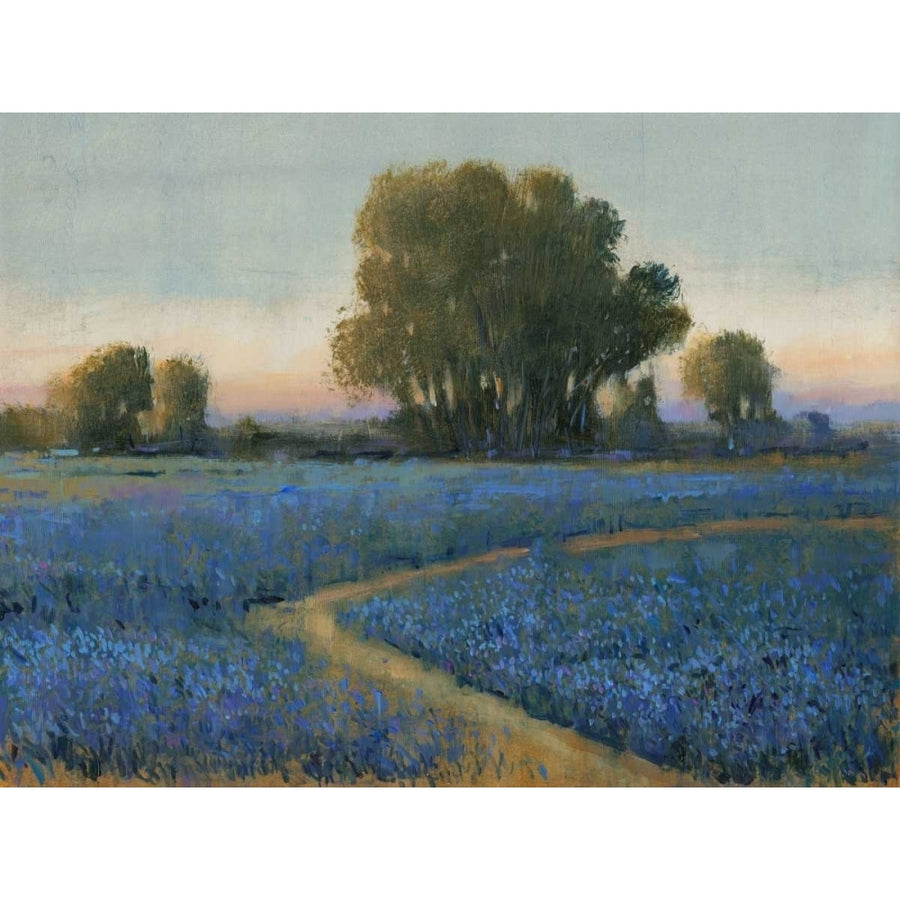 Blue Bonnet Field I Poster Print - Tim OToole-VARPDX35901D Image 1