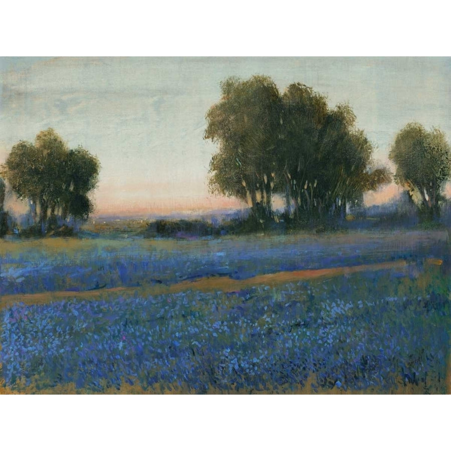 Blue Bonnet Field II Poster Print - Tim OToole-VARPDX35902D Image 1