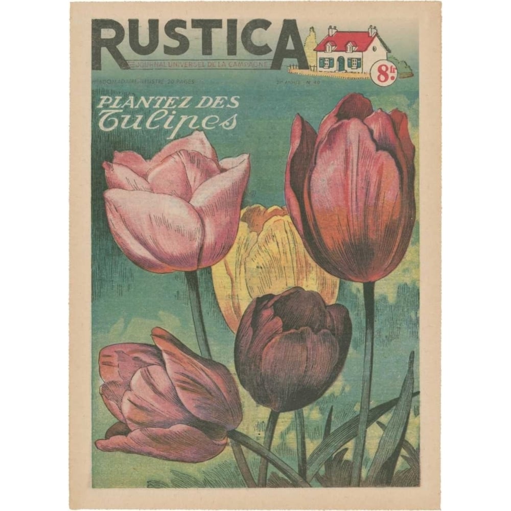 Plantez Des Tulips Poster Print - Unknown-VARPDX36015D Image 1