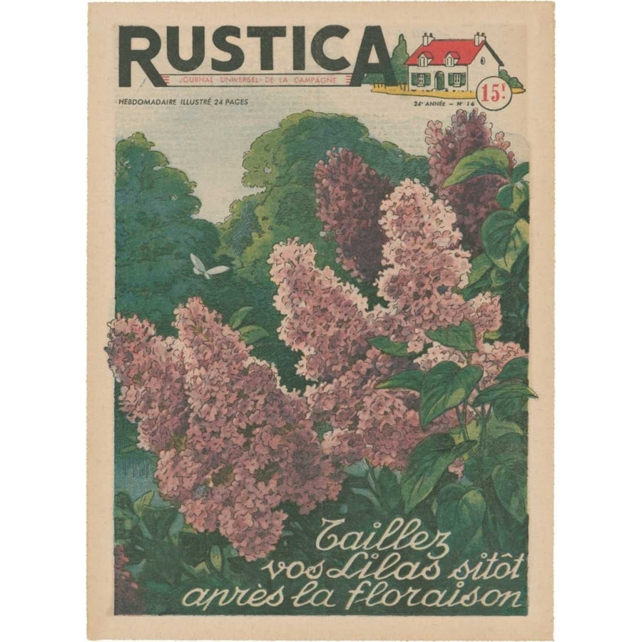 Plantez Des Lilacs Poster Print - Unknown-VARPDX36019D Image 1