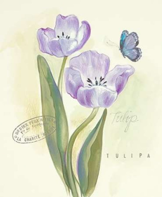 Claires Garden Tulip Poster Print by Elissa Della-Piana-VARPDX360DEL1018CI Image 1