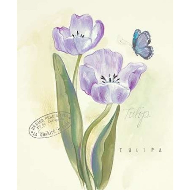 Claires Garden Tulip Poster Print by Elissa Della-Piana-VARPDX360DEL1018CI Image 2