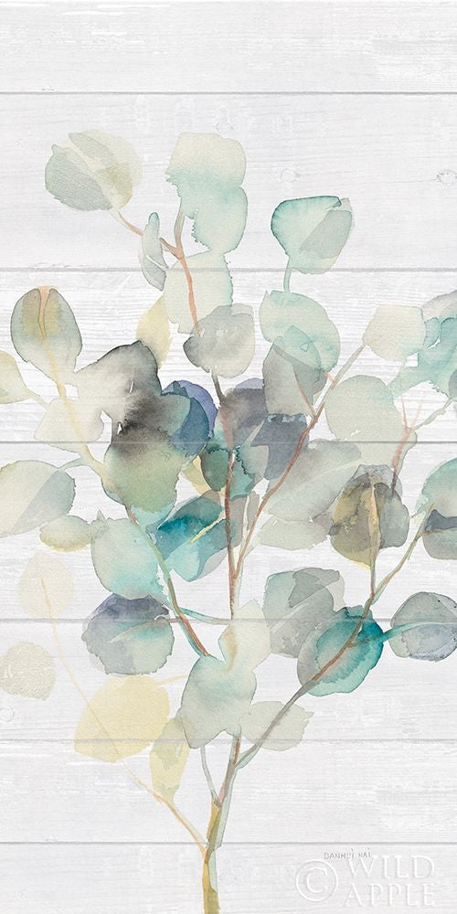 Eucalyptus Iii On Shiplap Crop Poster Print by Danhui Nai-VARPDX36126 Image 1