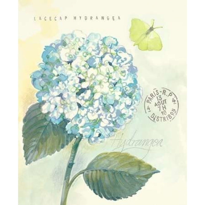 Claires Garden Hydrangea Poster Print by Elissa Della-Piana-VARPDX360DEL1017CI Image 2