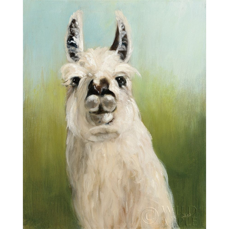 Whos Your Llama I Poster Print by Julia Purinton-VARPDX36176 Image 1