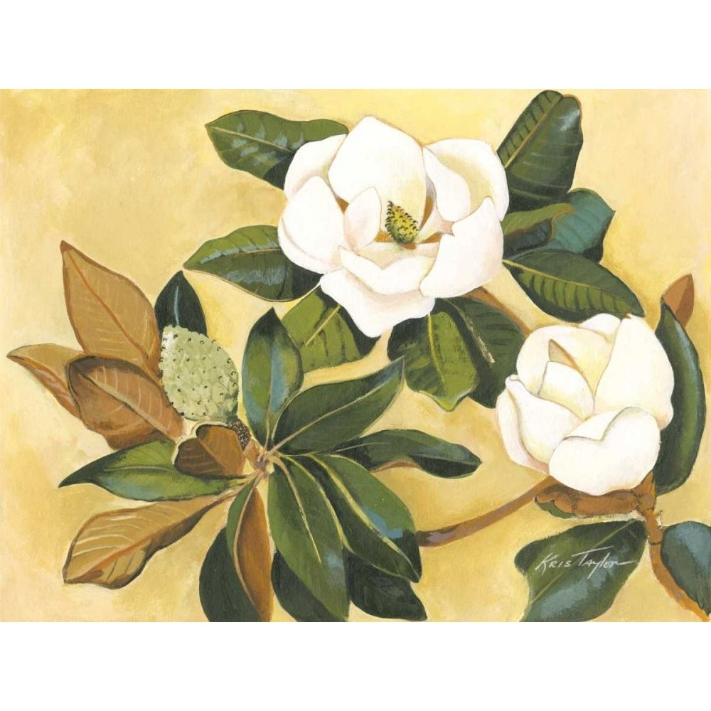 Southern Magnolia I Poster Print - Kris Taylor-VARPDX36211D Image 1