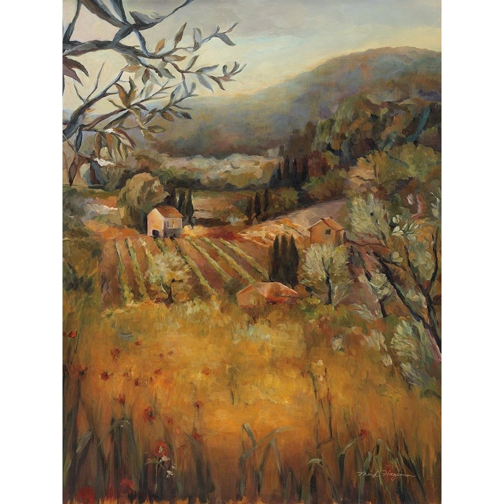 Vineyard in the Valley Poster Print - Marilyn Hageman-VARPDX36203 Image 1