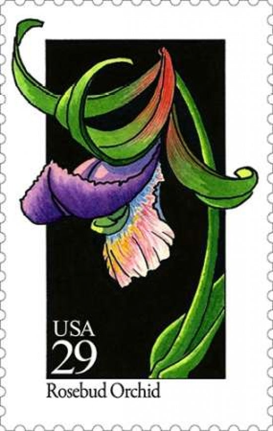 Rosebud Orchid Poster Print by US POSTAL SERVICE-VARPDX3623 Image 1