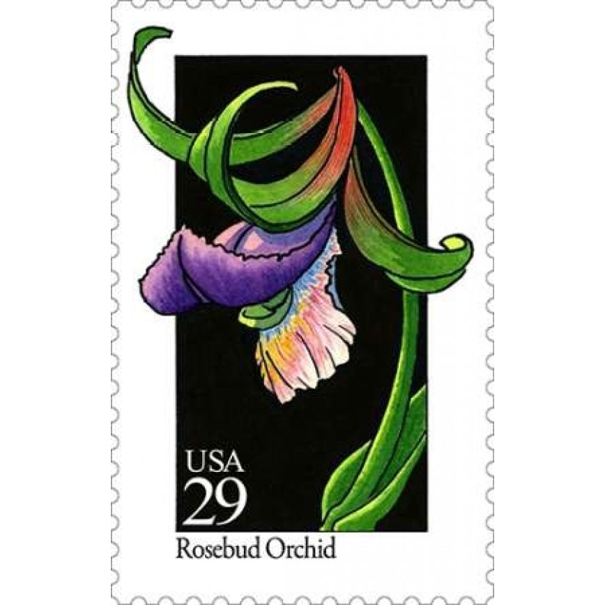 Rosebud Orchid Poster Print by US POSTAL SERVICE-VARPDX3623 Image 2