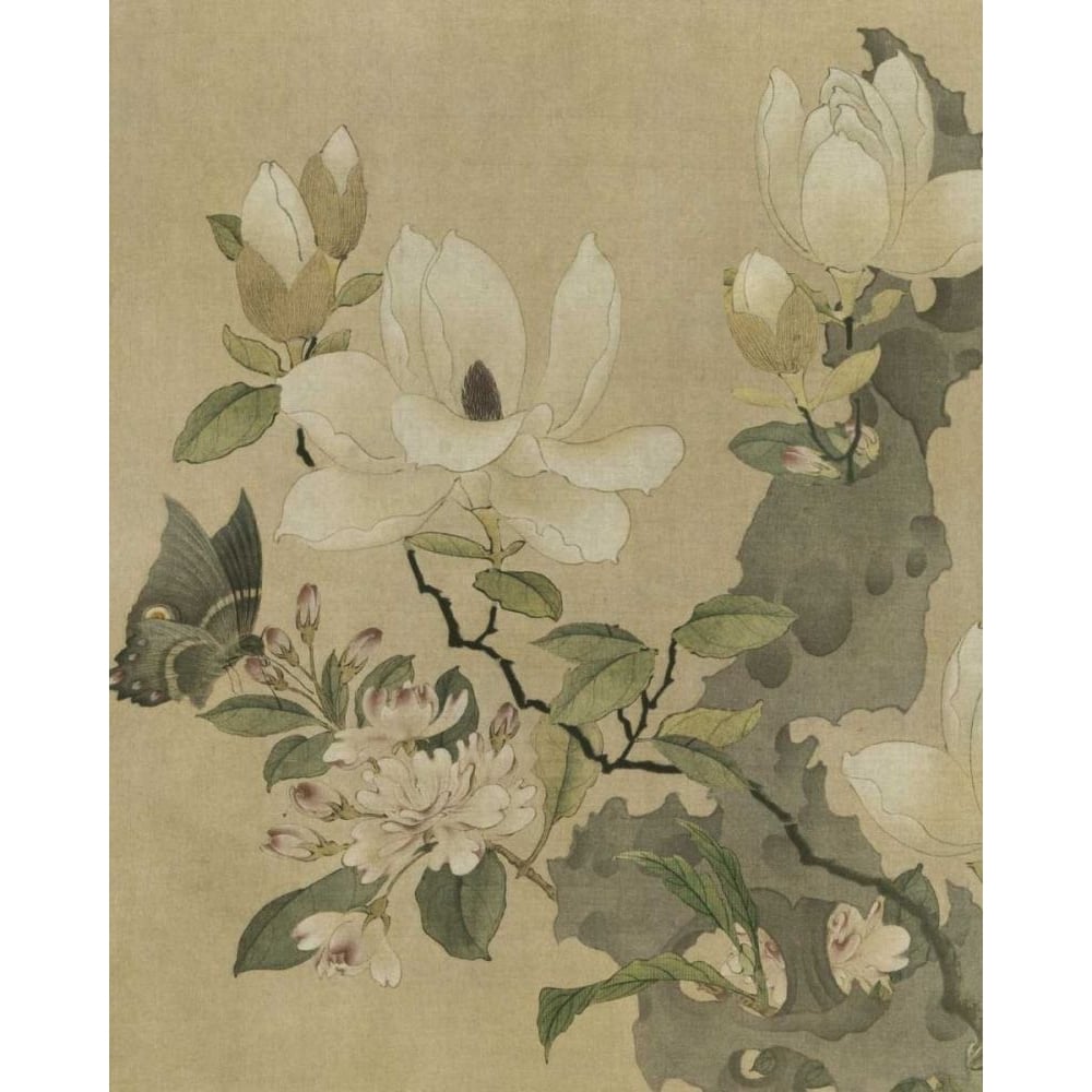 Magnolia and Butterfly Poster Print - Unknown-VARPDX36304D Image 1