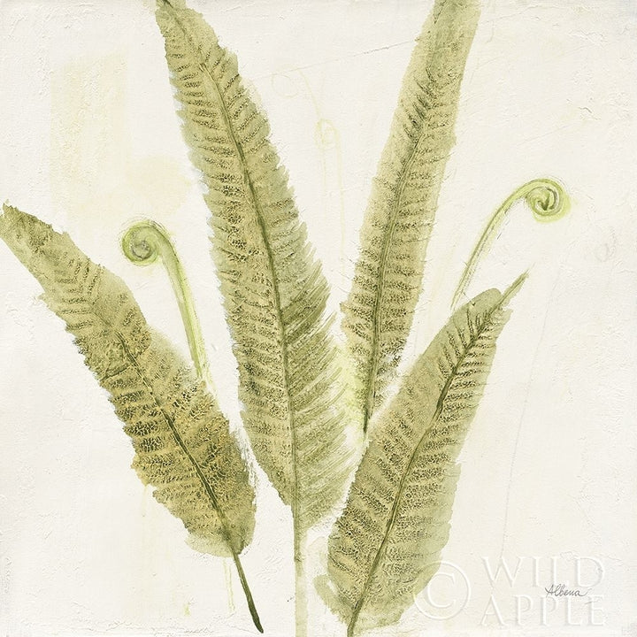 Forest Ferns Ii Poster Print by Albena Hristova-VARPDX36372 Image 2