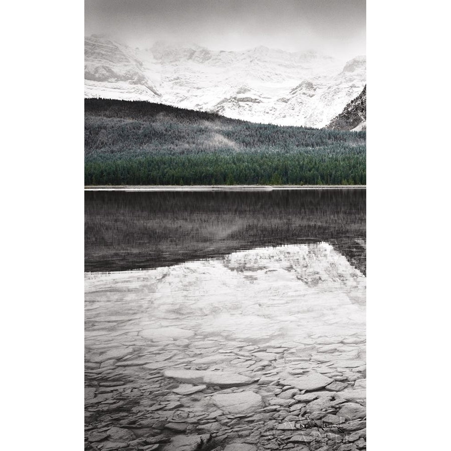 Waterfowl Lake Panel I Bw With Color Poster Print by Alan Majchrowicz-VARPDX36428 Image 1