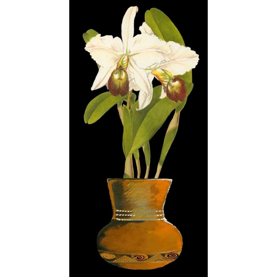 Orchids in Pot I Poster Print - Unknown-VARPDX36429DT Image 1