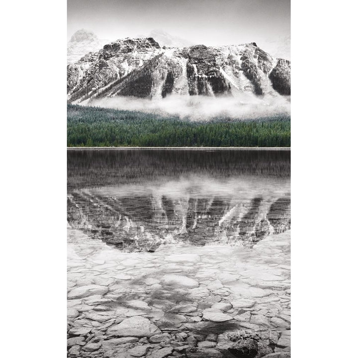 Waterfowl Lake Panel Ii Bw With Color Poster Print by Alan Majchrowicz-VARPDX36429 Image 1