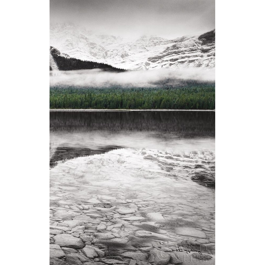 Waterfowl Lake Panel Iii Bw With Color Poster Print by Alan Majchrowicz-VARPDX36430 Image 1