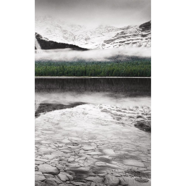 Waterfowl Lake Panel Iii Bw With Color Poster Print by Alan Majchrowicz-VARPDX36430 Image 2